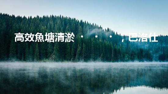 高效魚塘清淤，巴洛仕設備助力生態(tài)養(yǎng)殖
